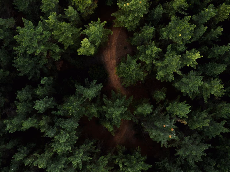 Fotografii vintage răspândite pe masă
